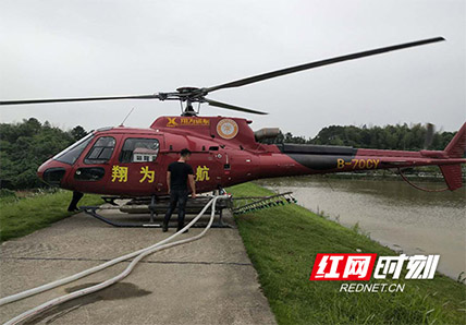 2019長沙松褐天牛聯(lián)防聯(lián)治聯(lián)檢項目正式啟動